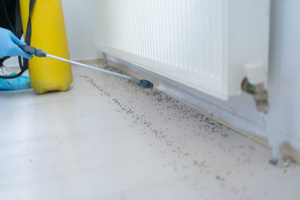 Best Pest Prevention Services  in Arlington, NE