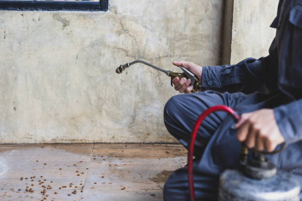 Best Exterminator Services  in Arlington, NE